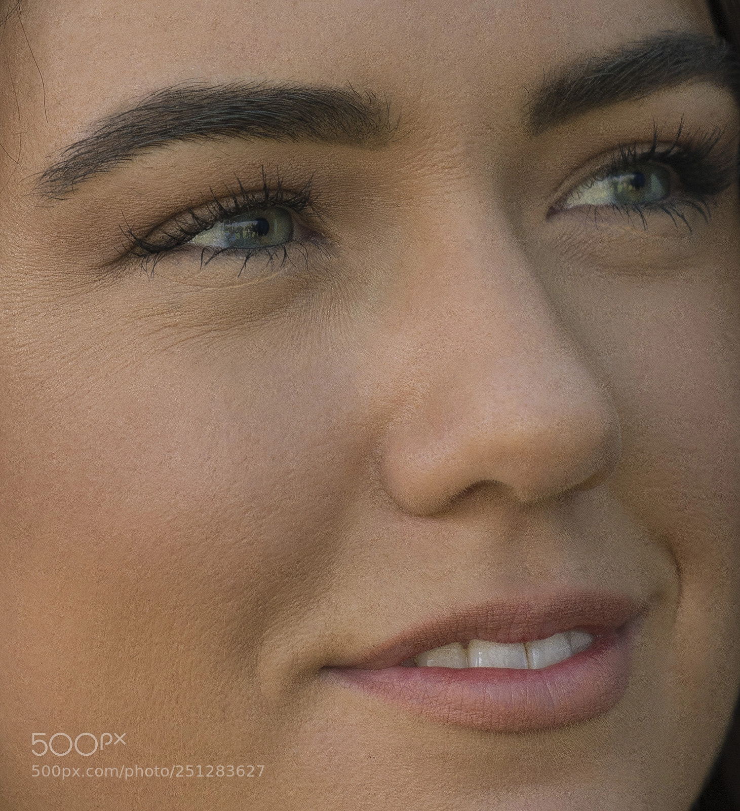 Sony a7R III sample photo. Close up photography