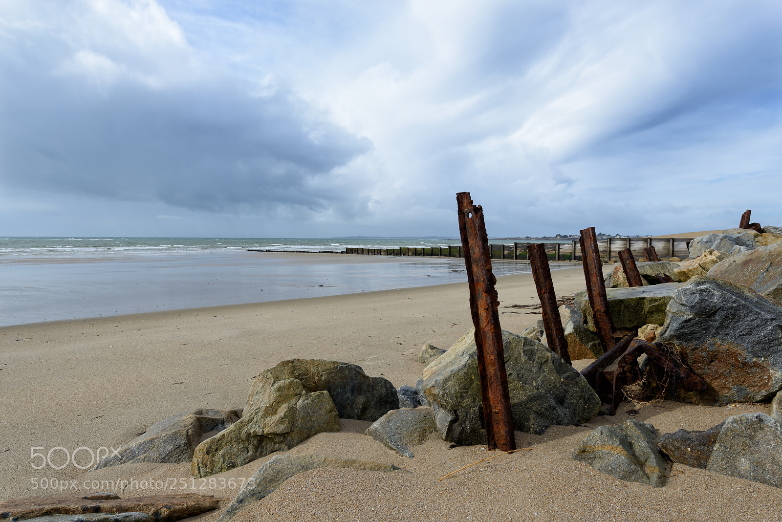 Nikon D800 sample photo. Futile protection - gavres. photography