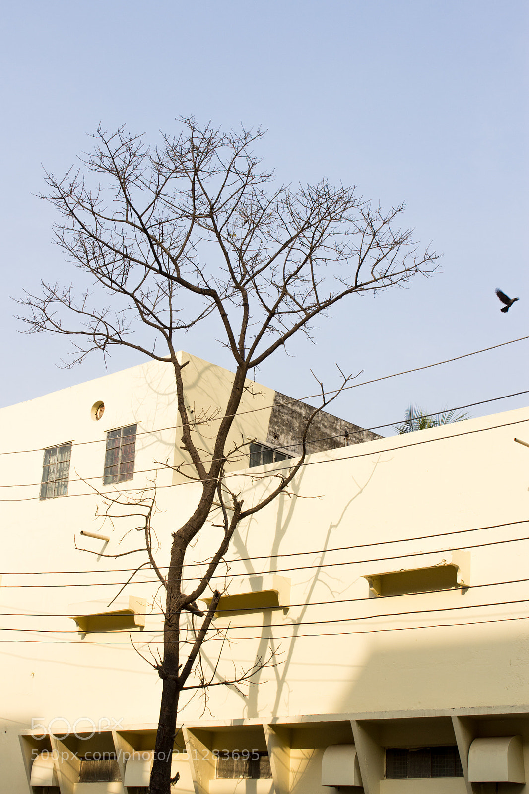 Canon EOS 1200D (EOS Rebel T5 / EOS Kiss X70 / EOS Hi) sample photo. This side photography