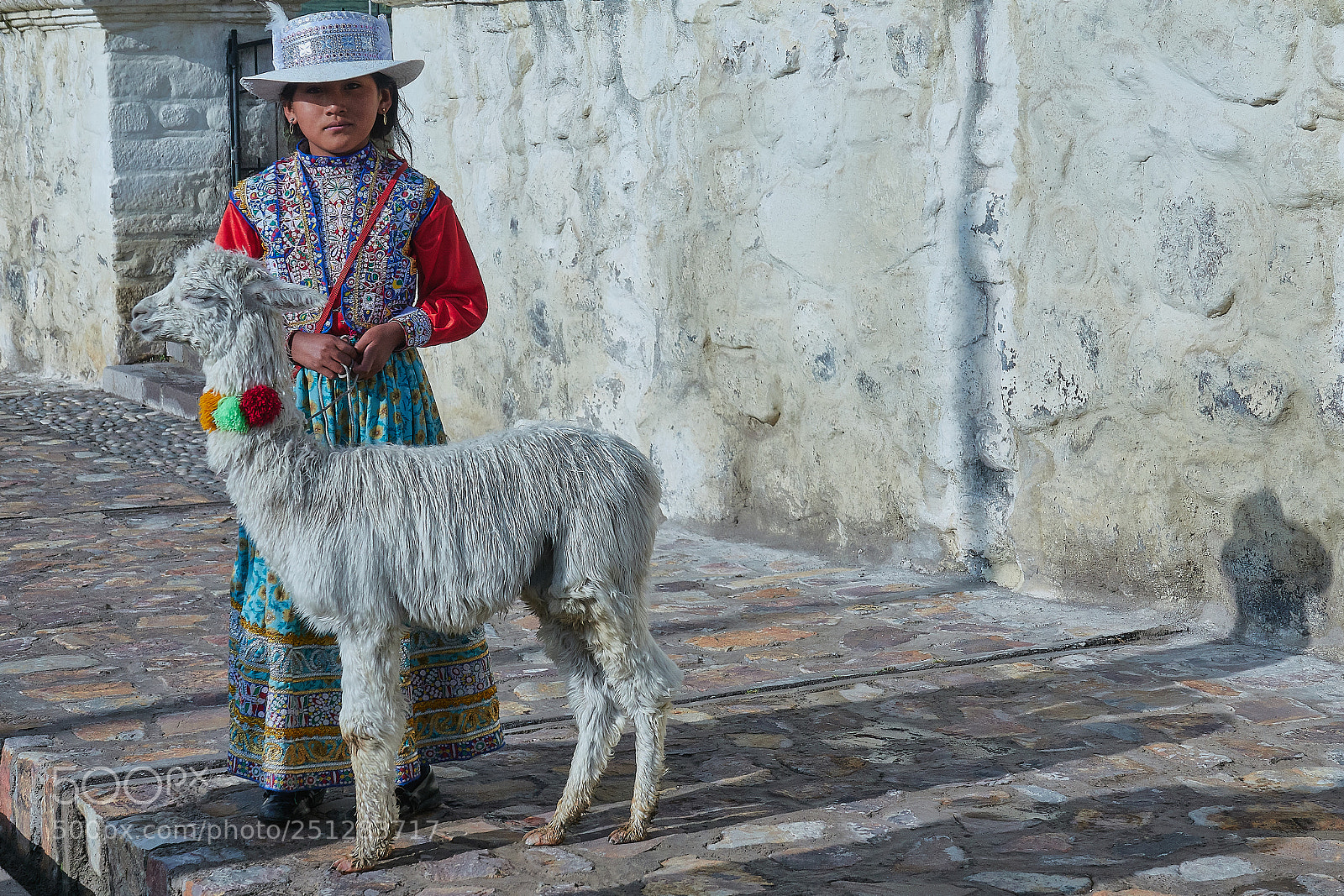Sony Cyber-shot DSC-RX10 IV sample photo. Girl and llama photography