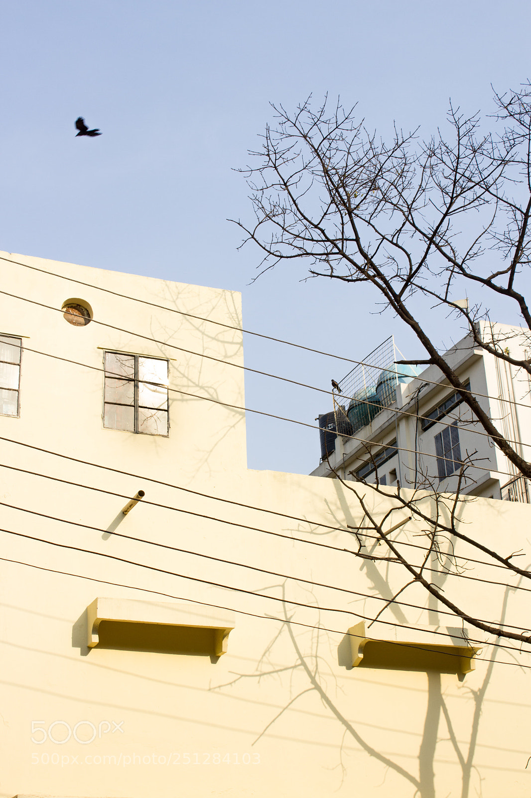Canon EOS 1200D (EOS Rebel T5 / EOS Kiss X70 / EOS Hi) sample photo. Other side photography