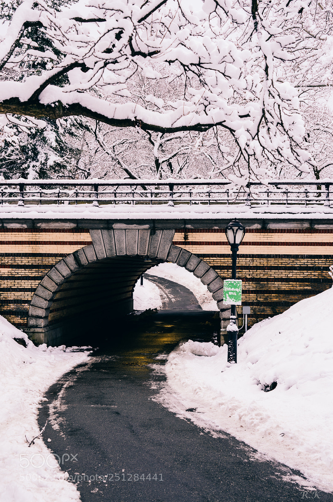 Sony a7R sample photo. Beautiful path, road to photography