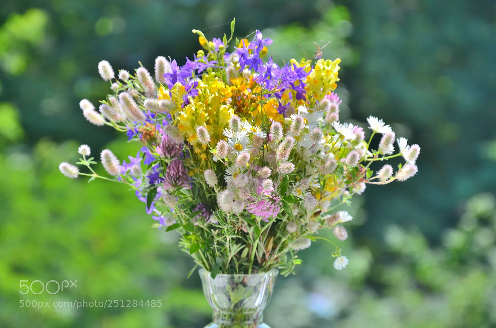 Nikon D7000 sample photo. Mood photography