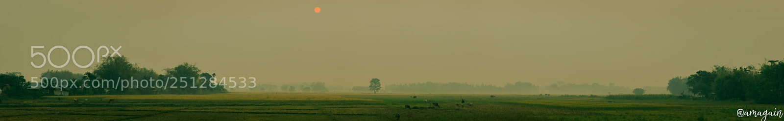 Canon EOS 70D sample photo. The terai mornings photography