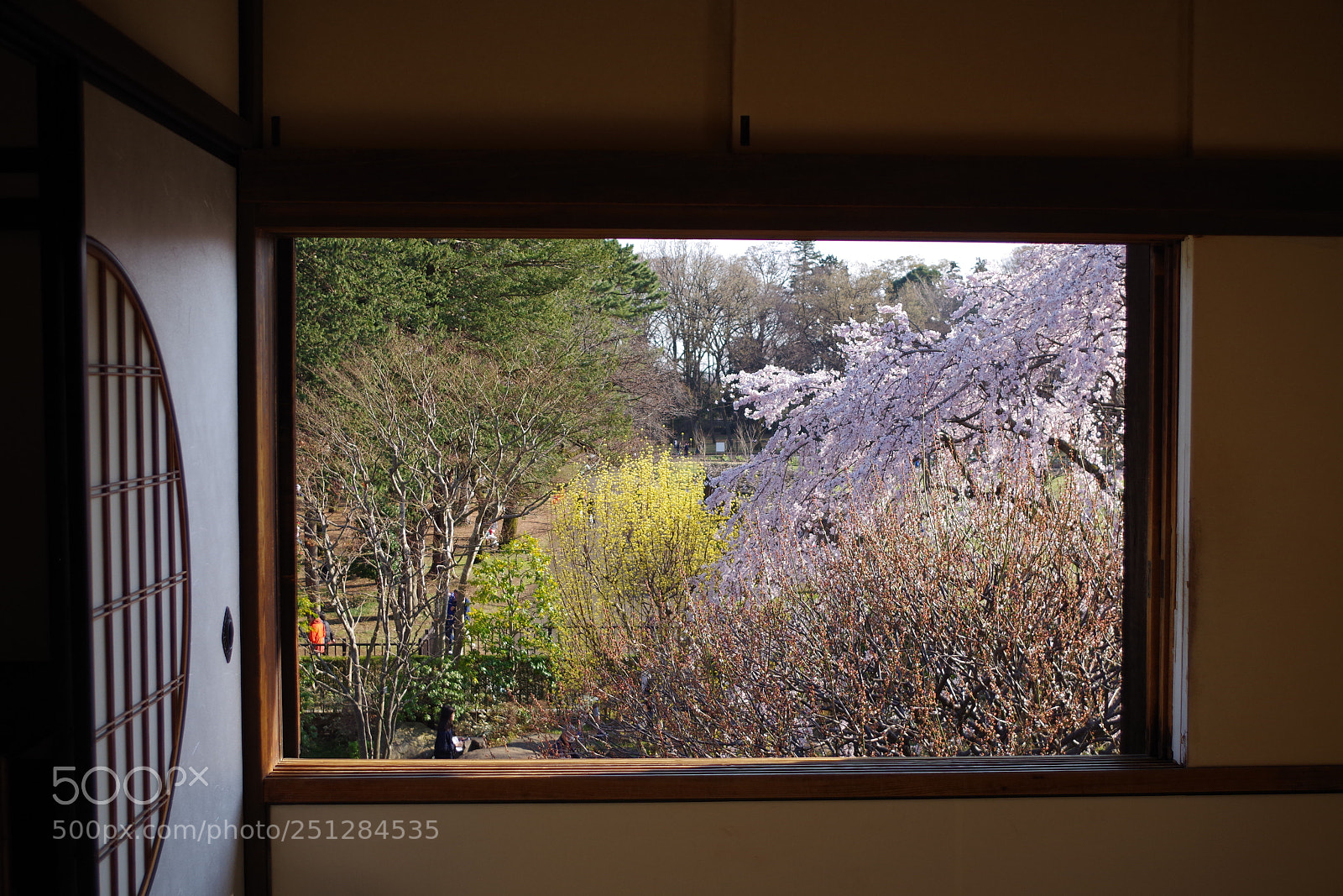 Pentax K-S2 sample photo. Garden view photography