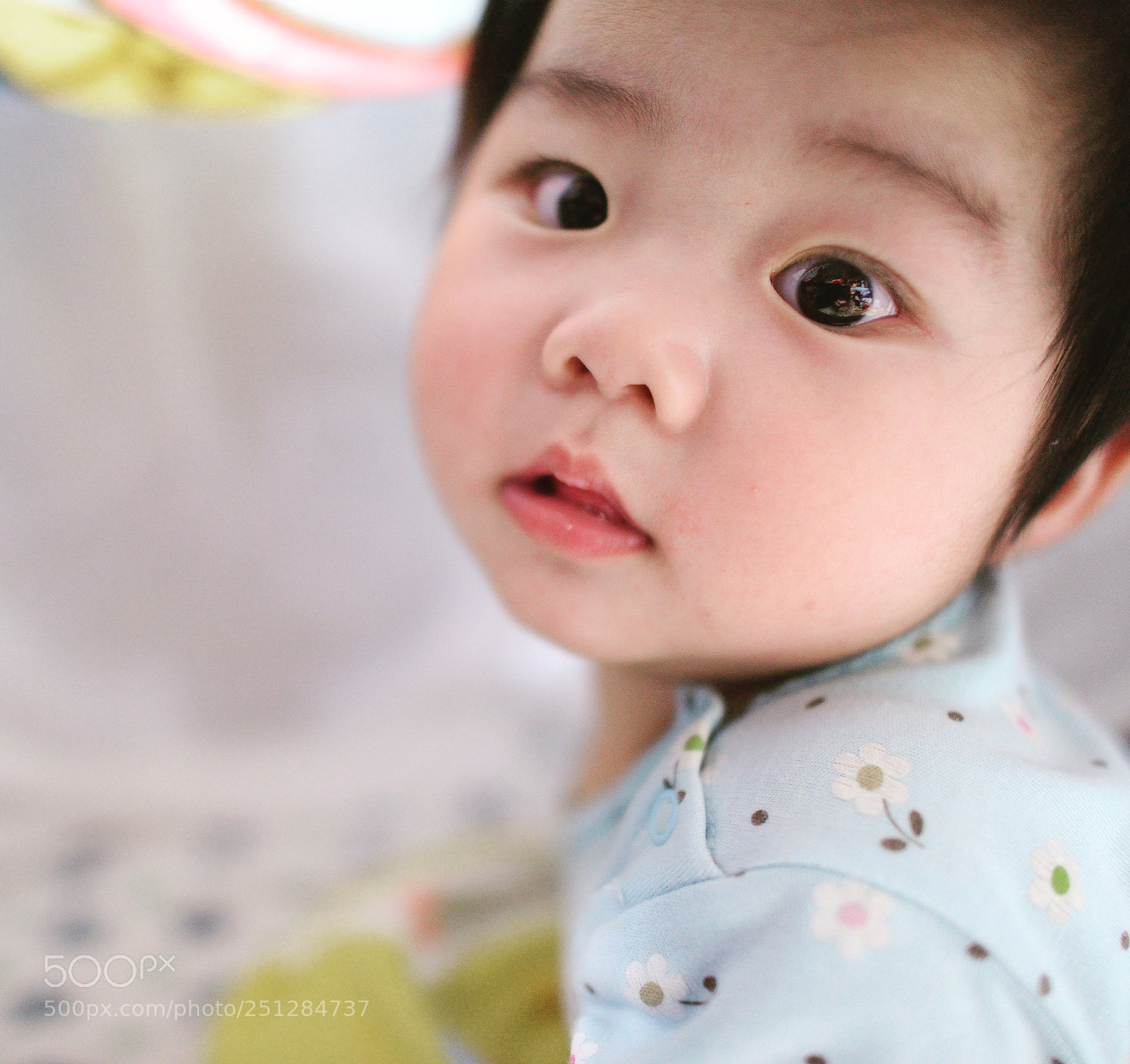 Nikon D800 sample photo. Untitled photography