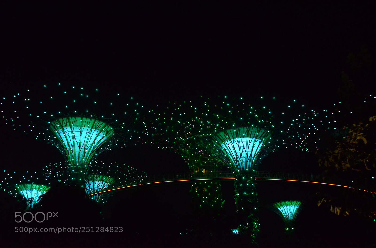 Nikon D5100 sample photo. Singapore gardens by the photography