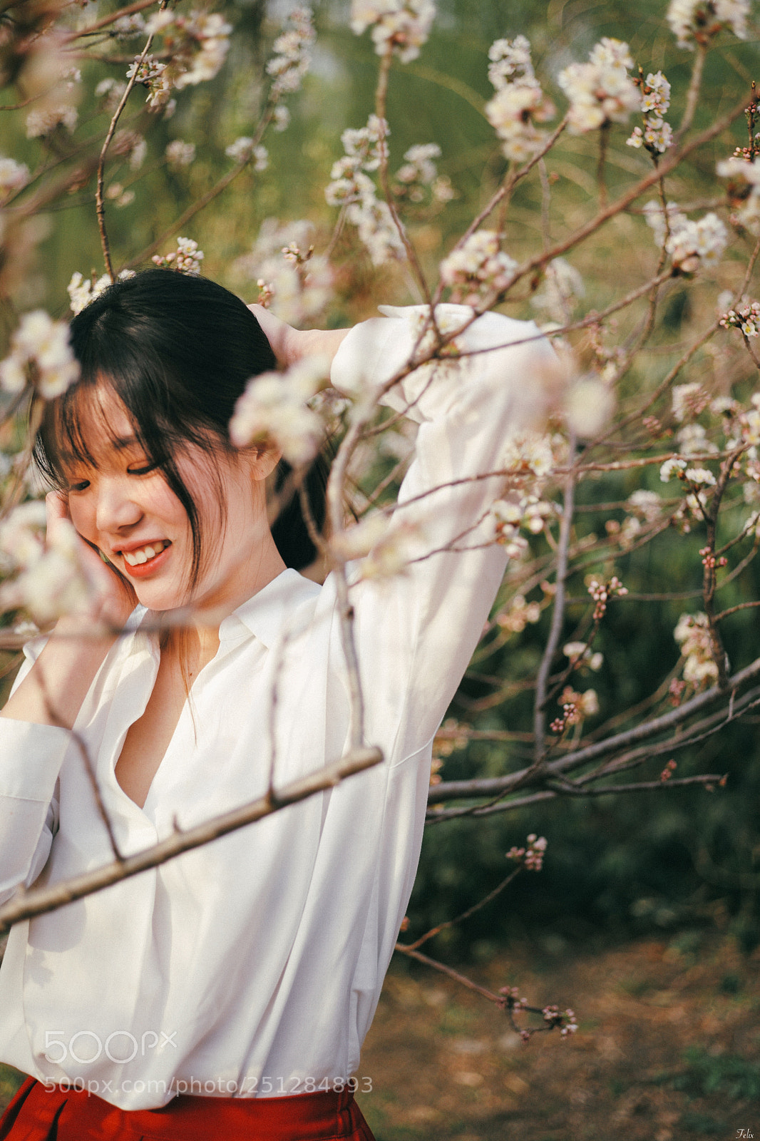 Leica M (Typ 240) sample photo. Sakura girl photography