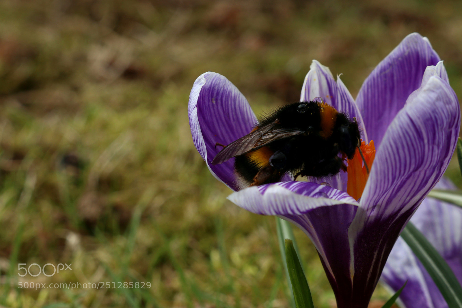 Canon EOS 80D sample photo. Untitled photography