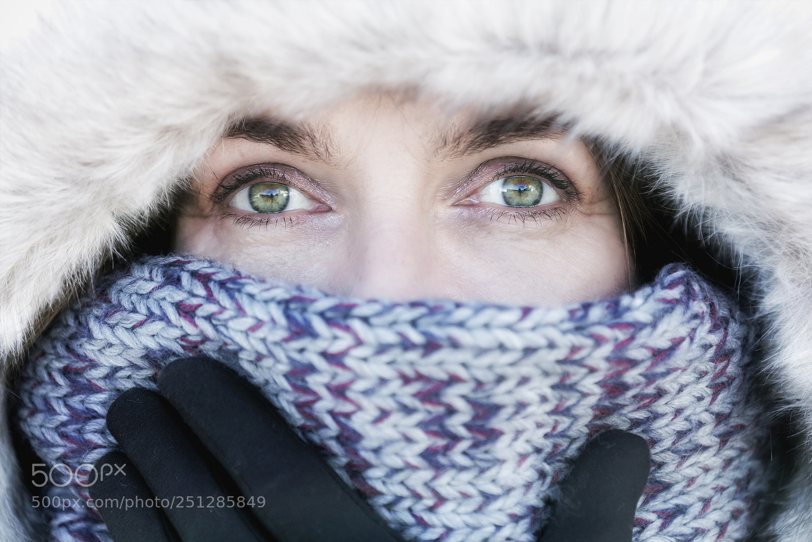 Canon EOS 60D sample photo. Winter eyes photography