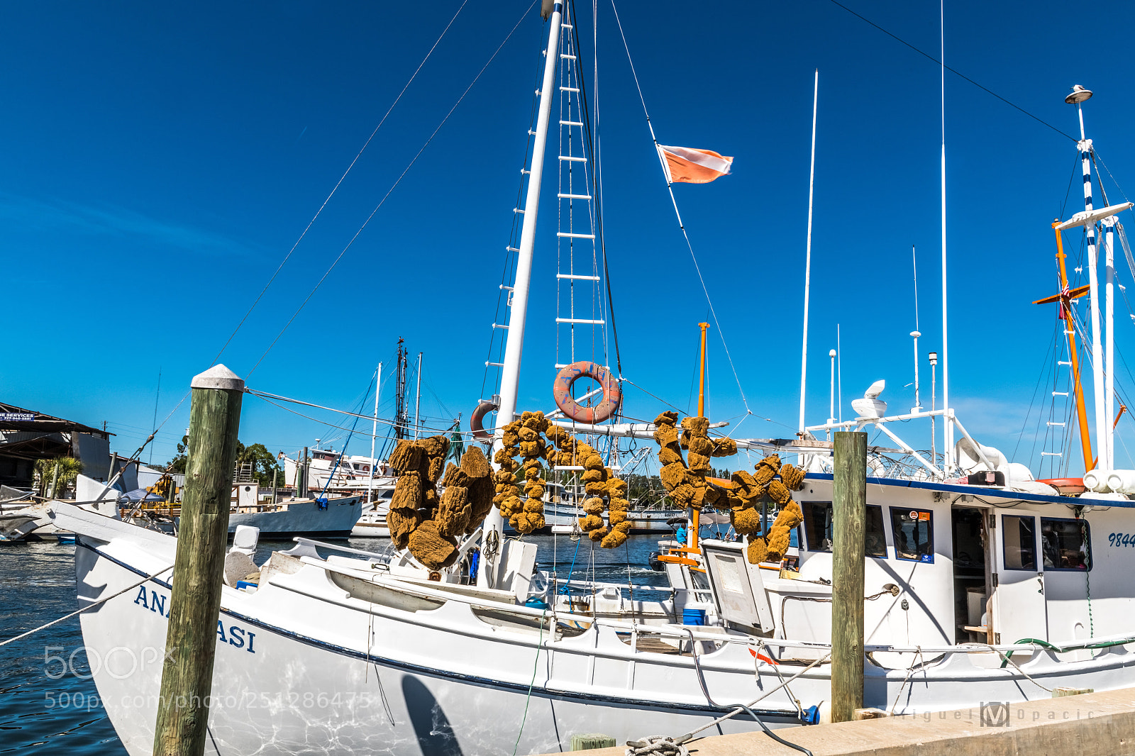 Nikon D850 sample photo. Boat with sponges photography