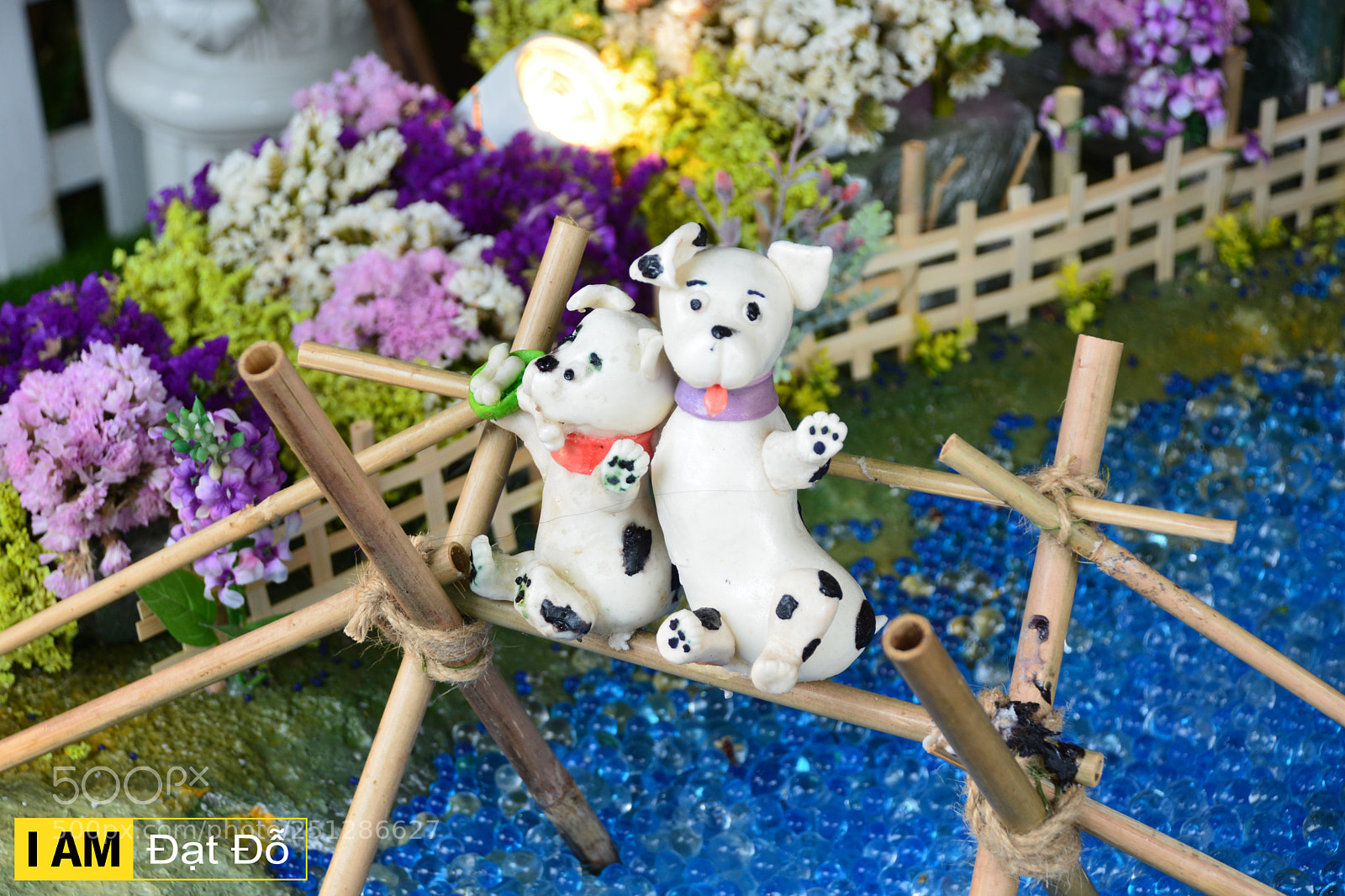 Nikon D5200 sample photo. Dsc photography