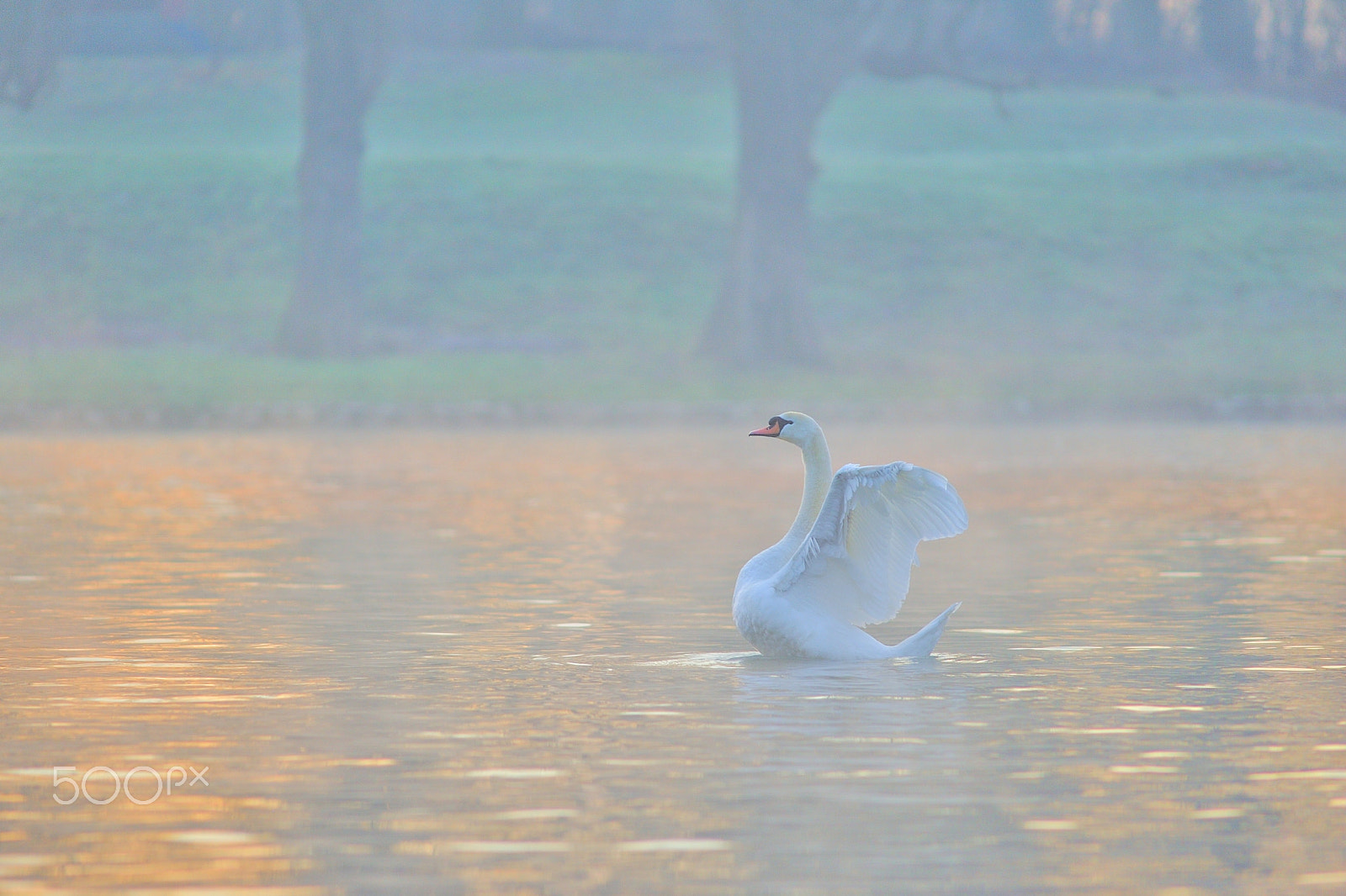 Nikon D700 sample photo. Pastel solitude photography