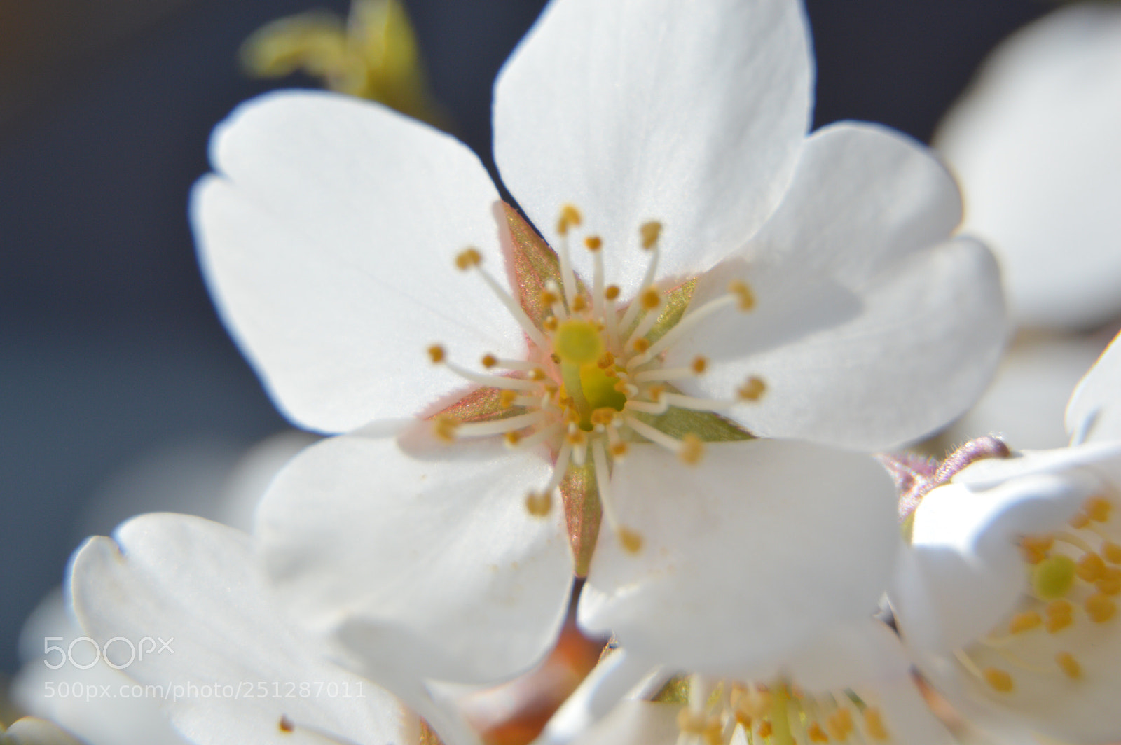 Nikon D3200 sample photo. Untitled photography