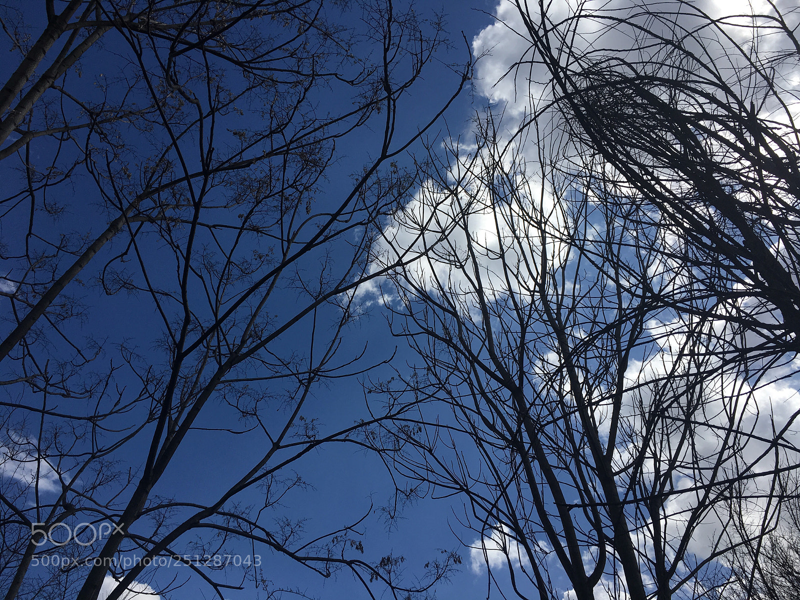 Apple iPhone 6s sample photo. Untitled photography