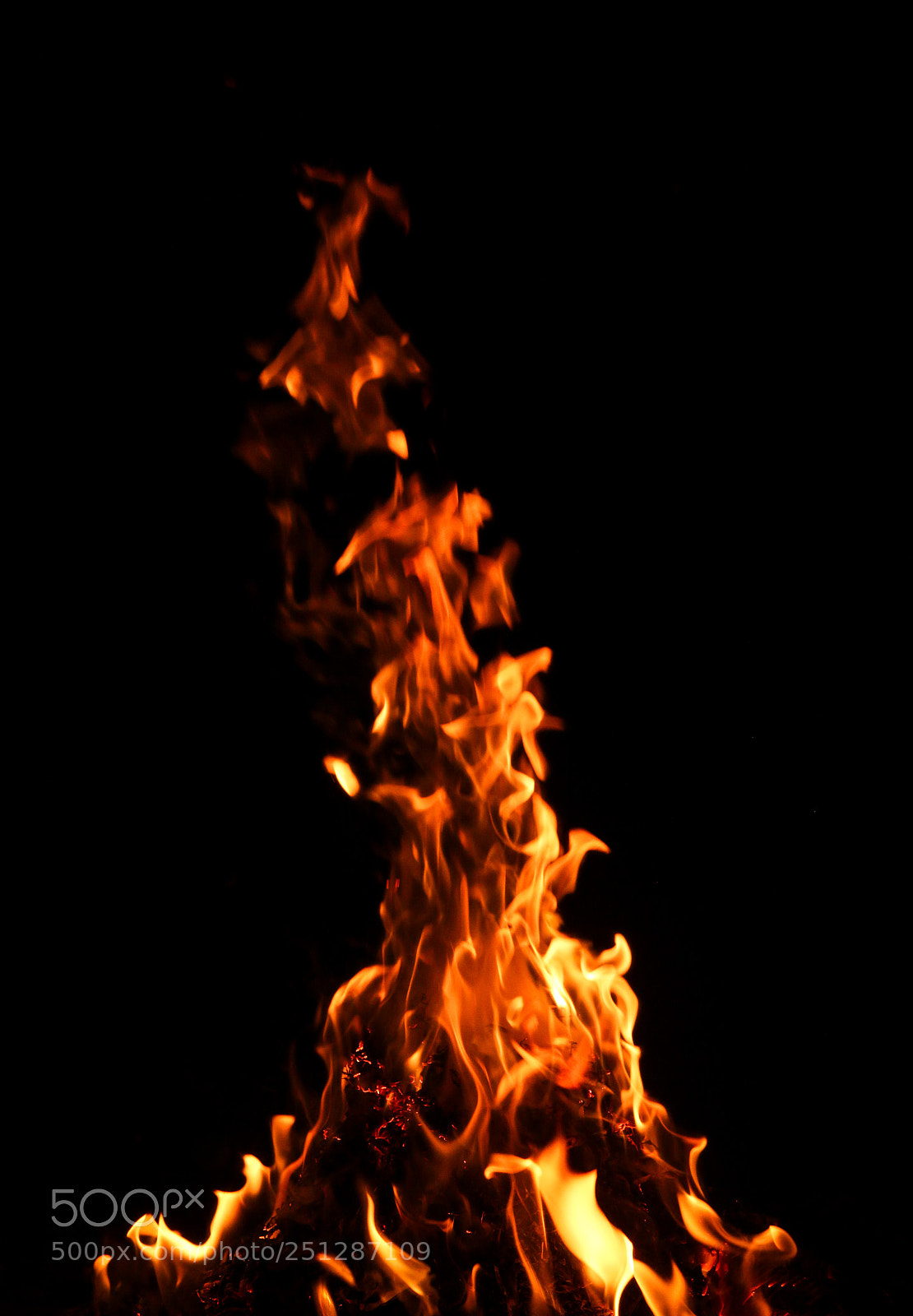 Canon EOS 70D sample photo. Untitled photography