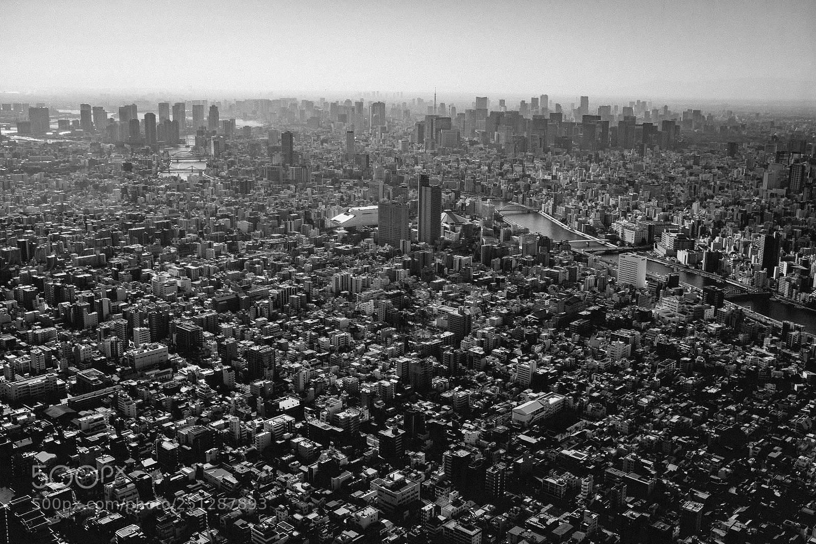 Fujifilm X100T sample photo. Tokyo skyline b+w photography