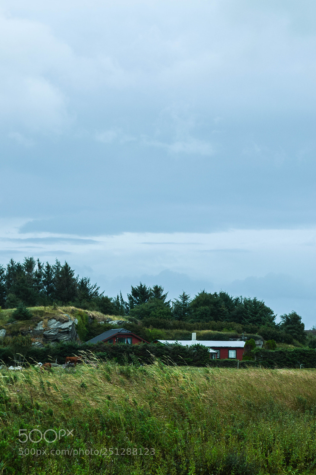 Nikon D5300 sample photo. 11 aug. 2014 photography