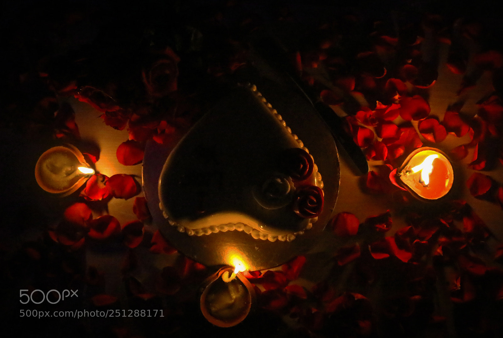Canon EOS 70D sample photo. Untitled photography