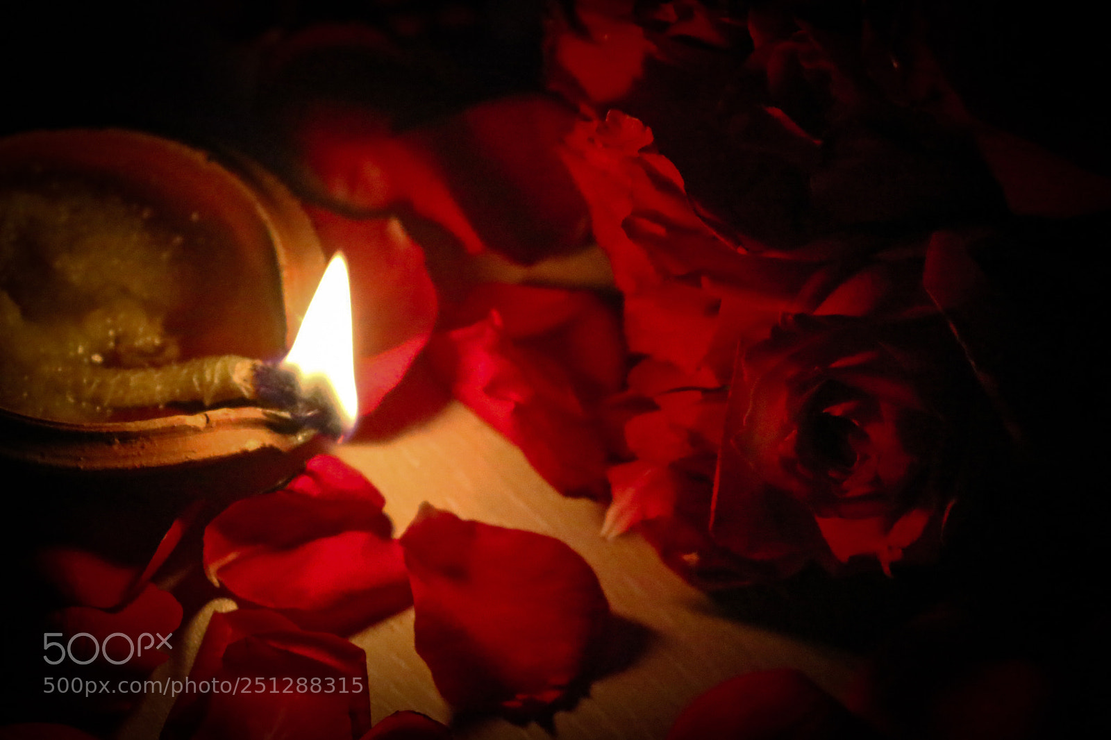 Canon EOS 70D sample photo. Untitled photography