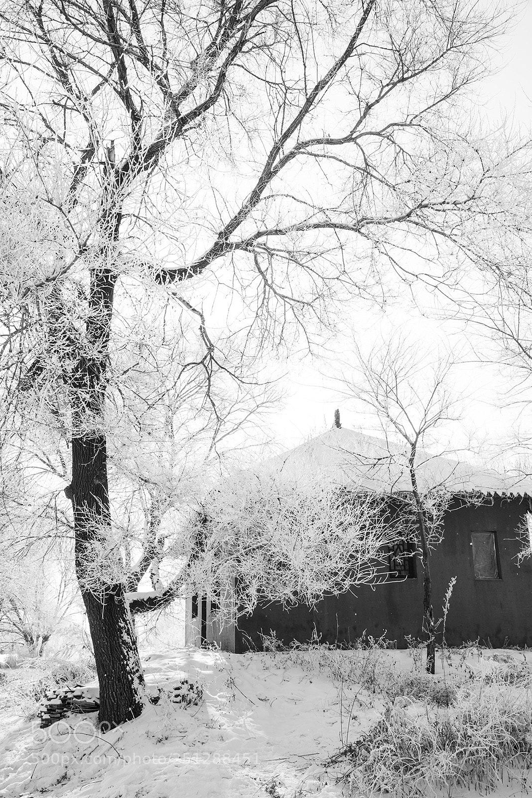 Nikon D810 sample photo. Travel in the winter. photography