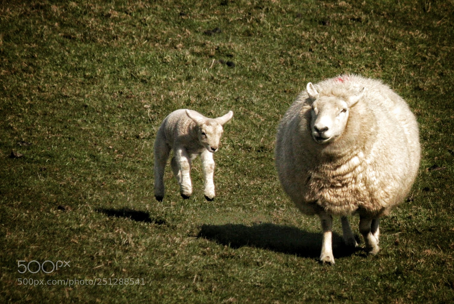 Canon EOS 40D sample photo. Spring has sprung photography