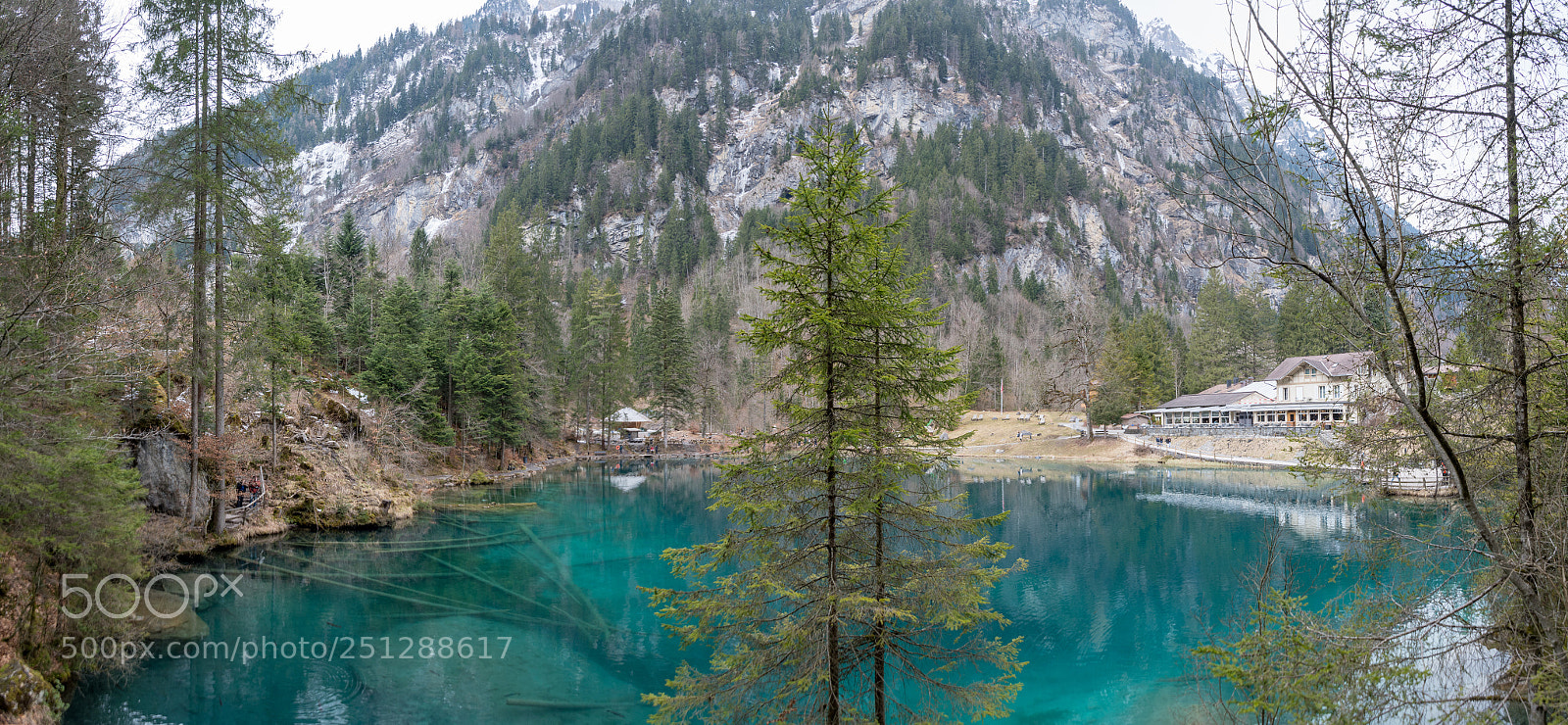Nikon D500 sample photo. Blausee photography