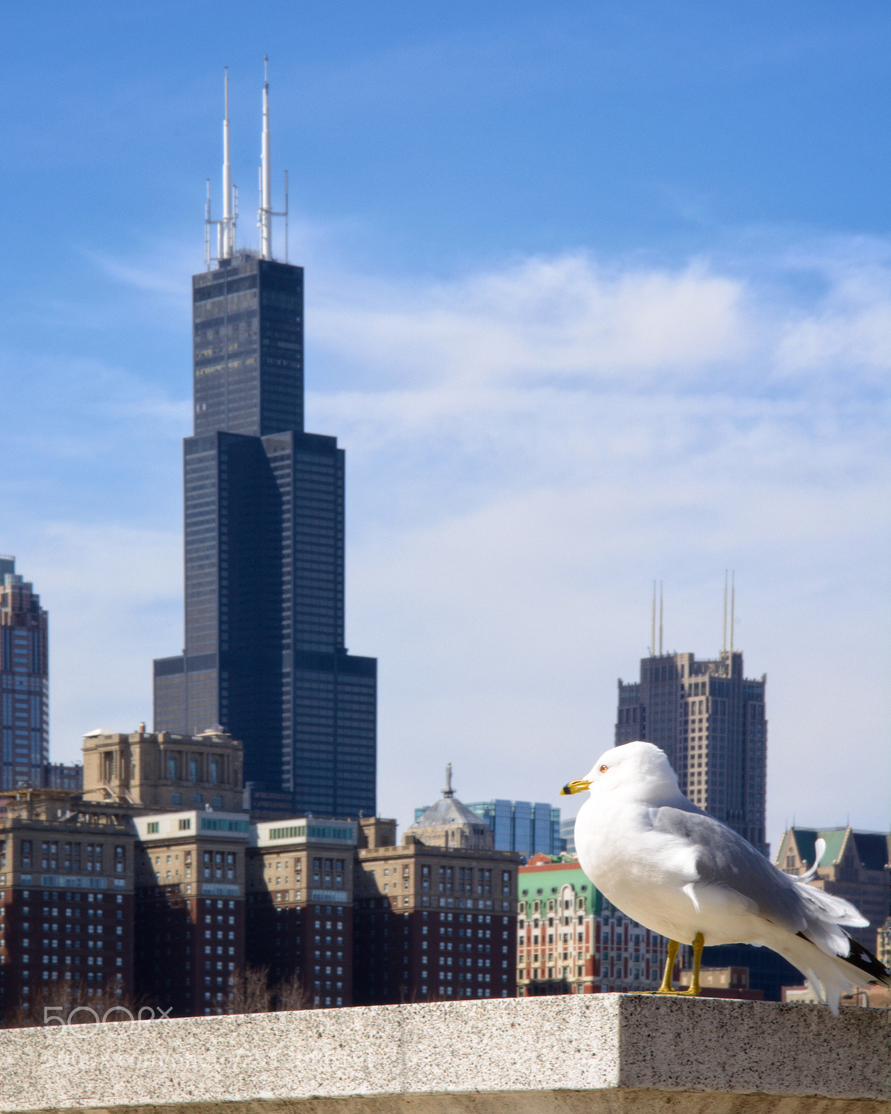 Nikon D5200 sample photo. Chicago photography