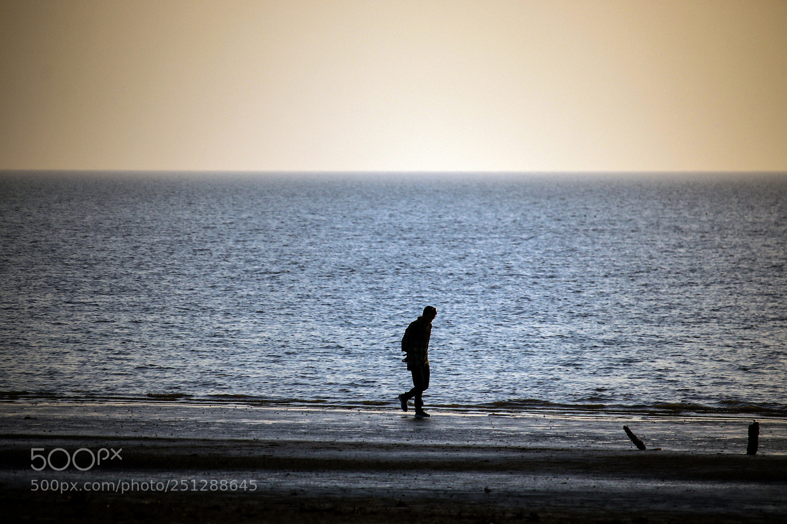 Canon EOS 70D sample photo. Untitled photography