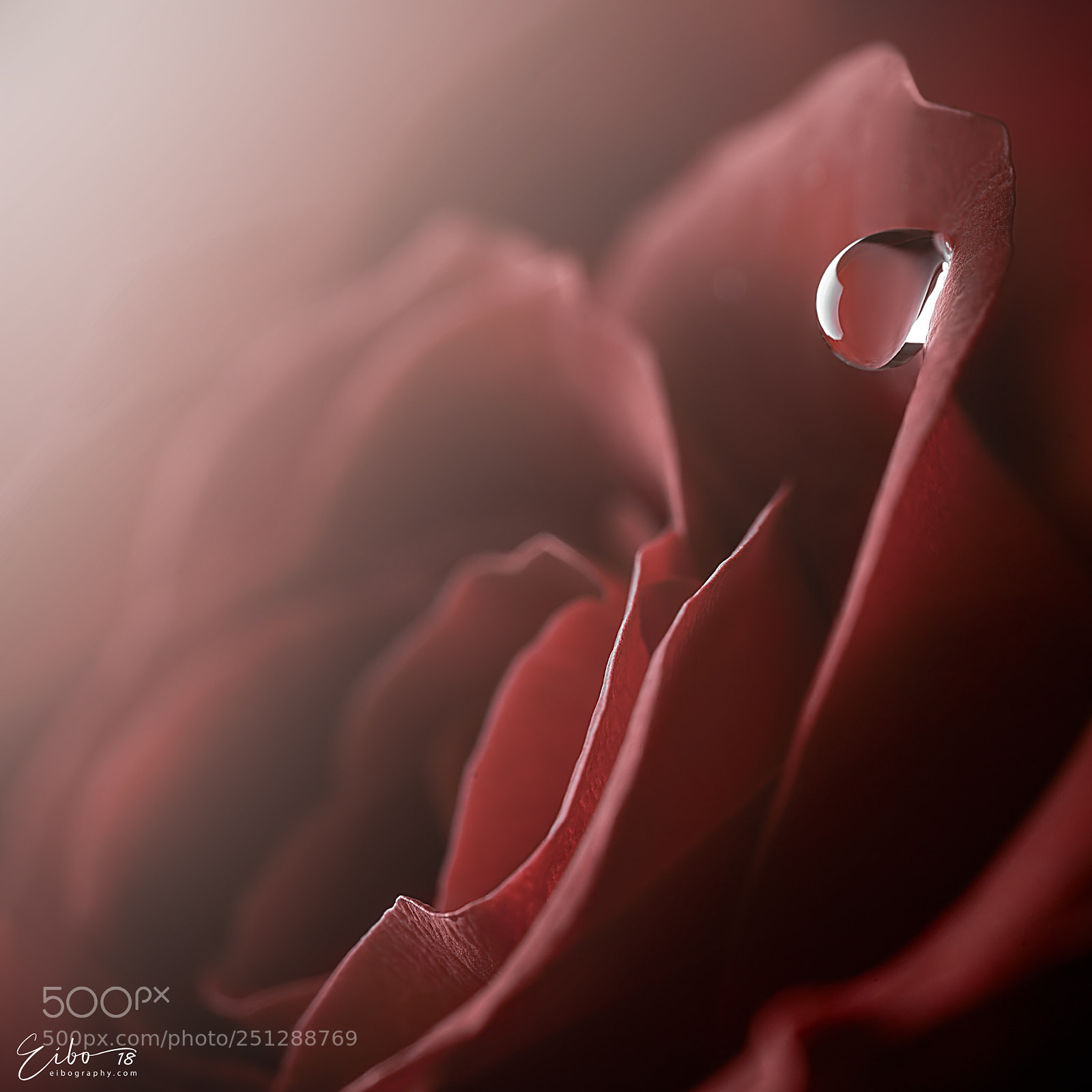 Canon EOS 5D Mark II sample photo. Romance photography