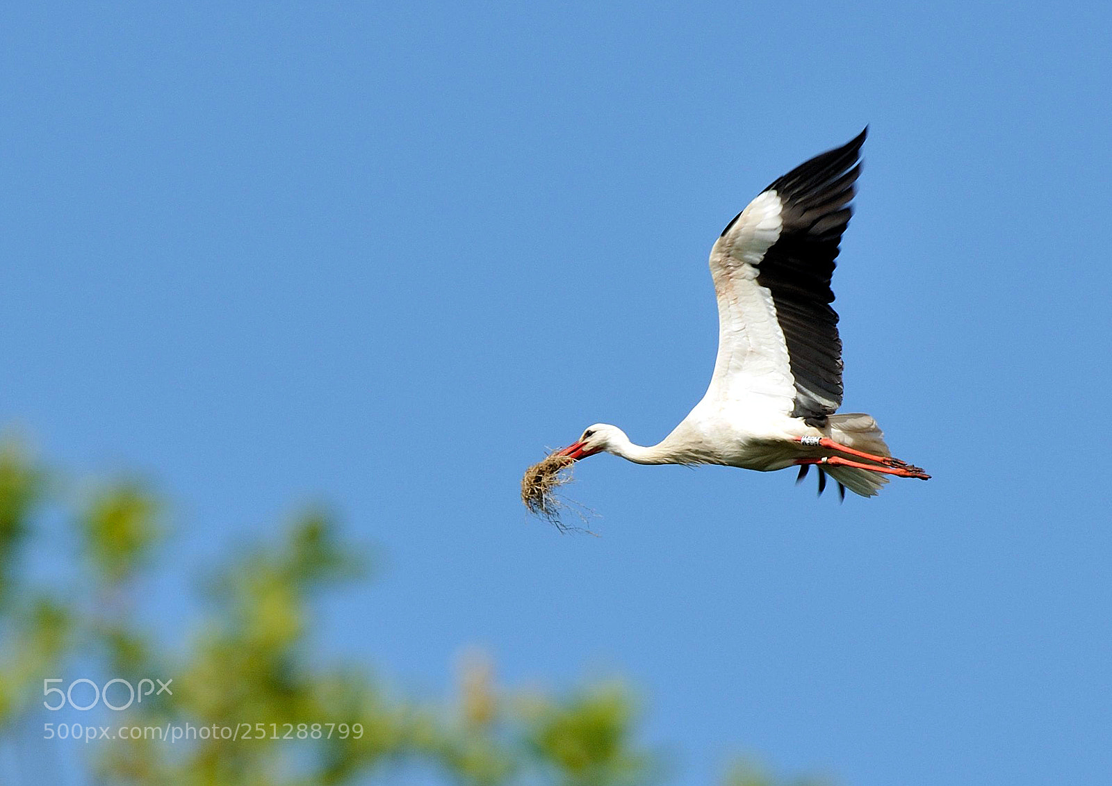 Nikon D300 sample photo. Picardie expo photography
