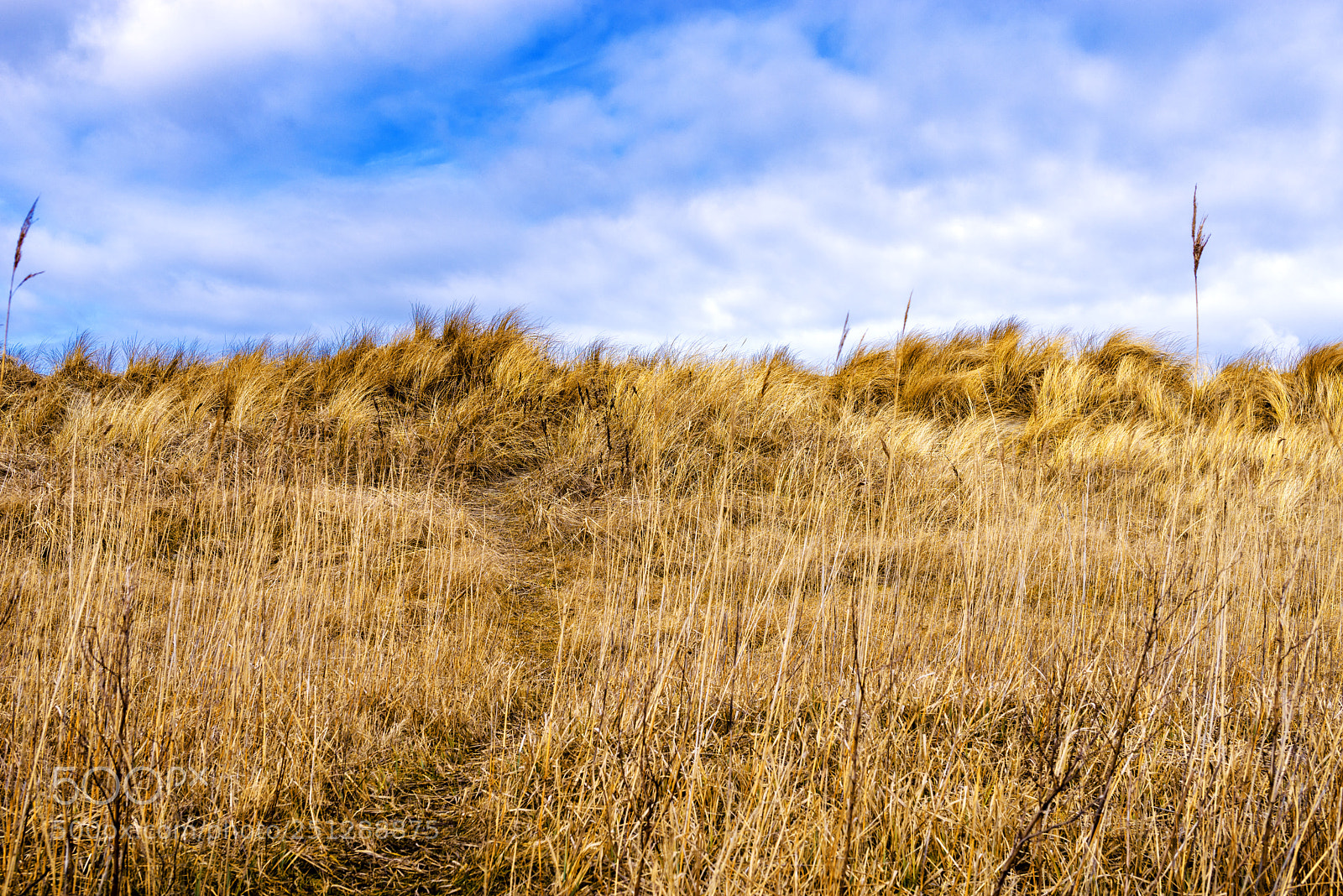 Pentax K-1 sample photo. Dune & sky photography
