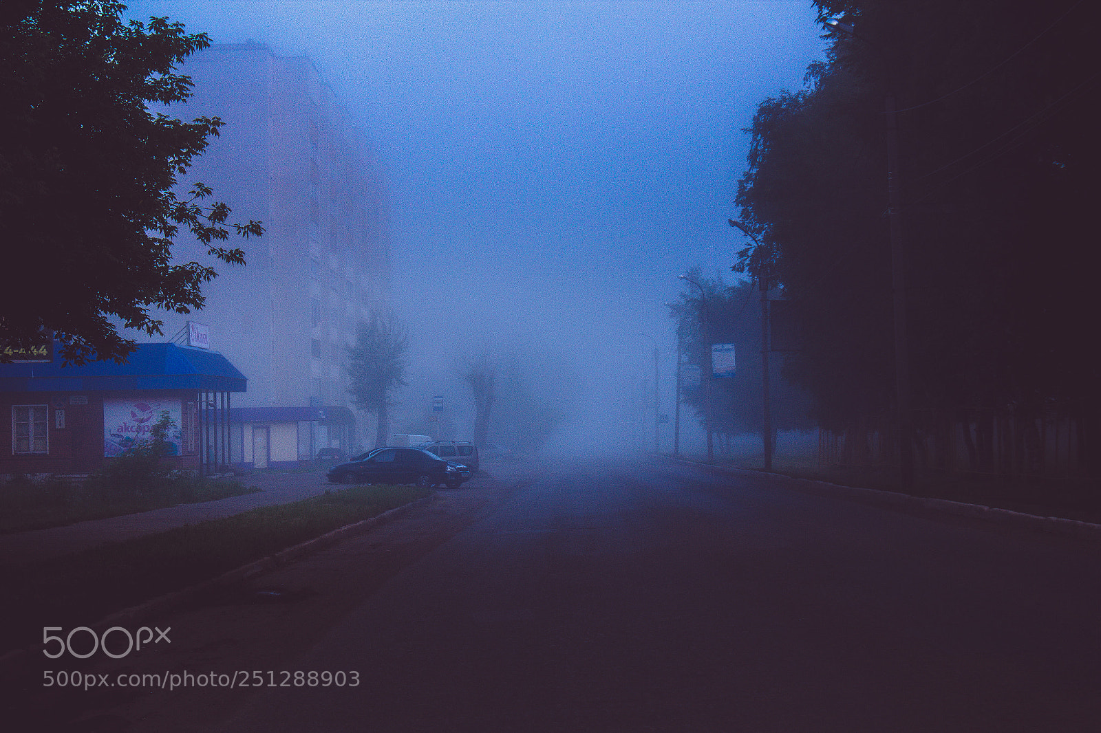 Canon EOS 550D (EOS Rebel T2i / EOS Kiss X4) sample photo. Foggy morning photography