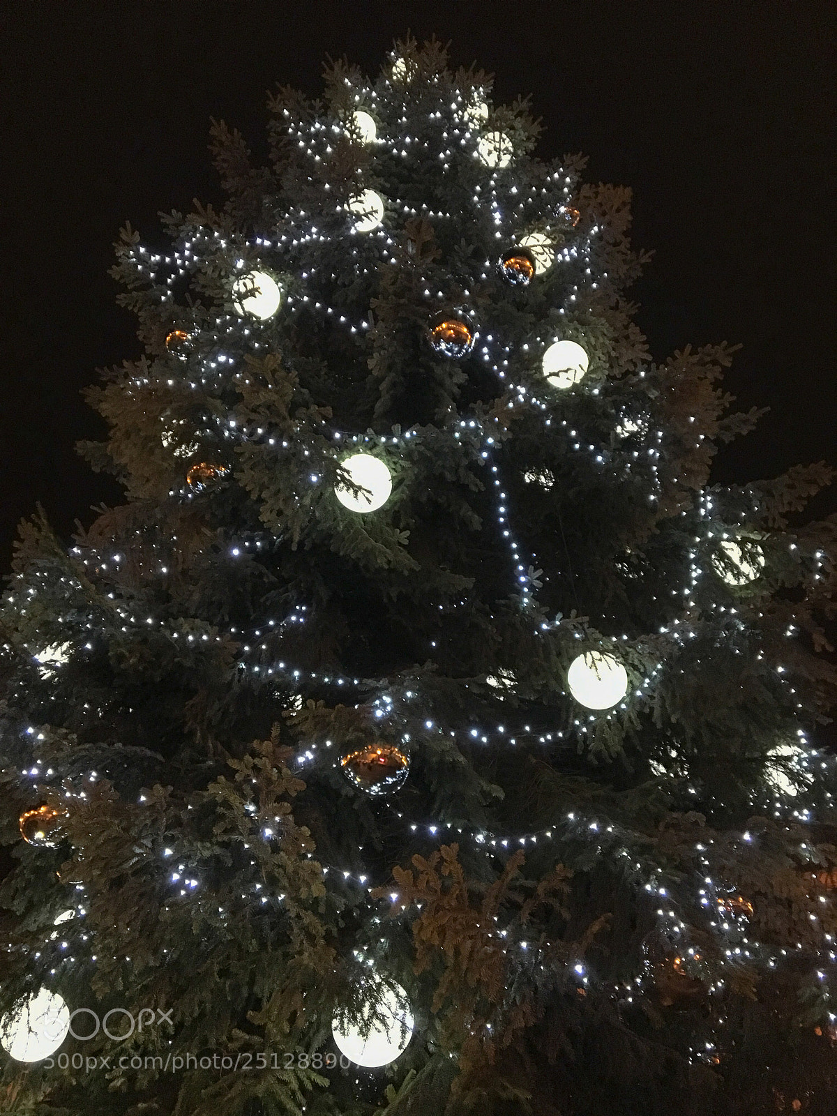 Apple iPhone 6s sample photo. Oh tannenbaum photography