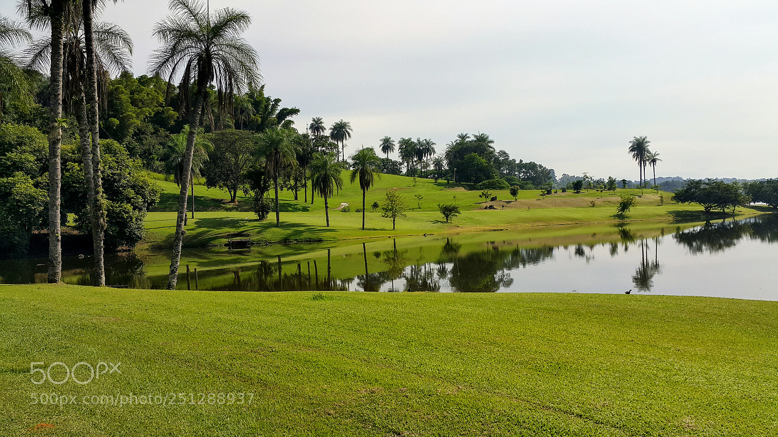 Samsung Galaxy Note4 sample photo. Jardim hotel duas marias photography