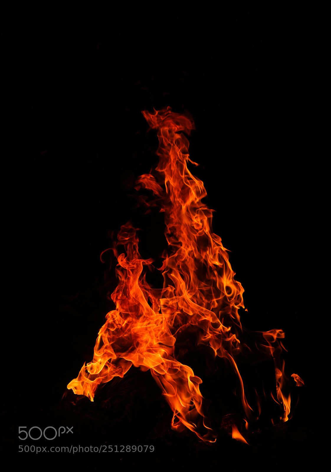 Canon EOS 70D sample photo. Untitled photography