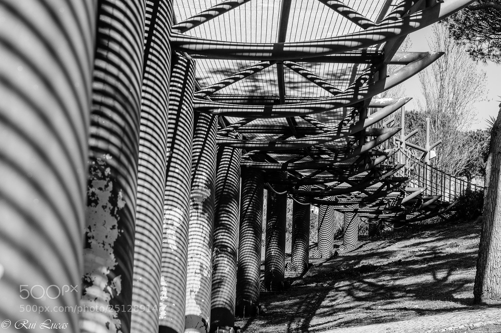Nikon D3300 sample photo. Untitled photography