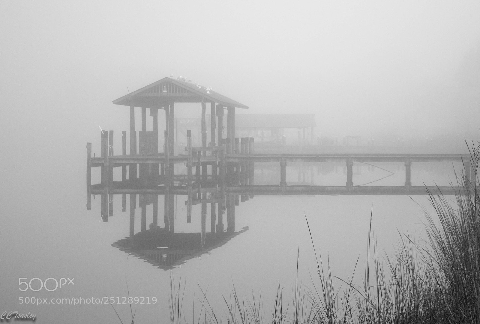 Canon EOS 600D (Rebel EOS T3i / EOS Kiss X5) sample photo. Foggy reflection of the photography