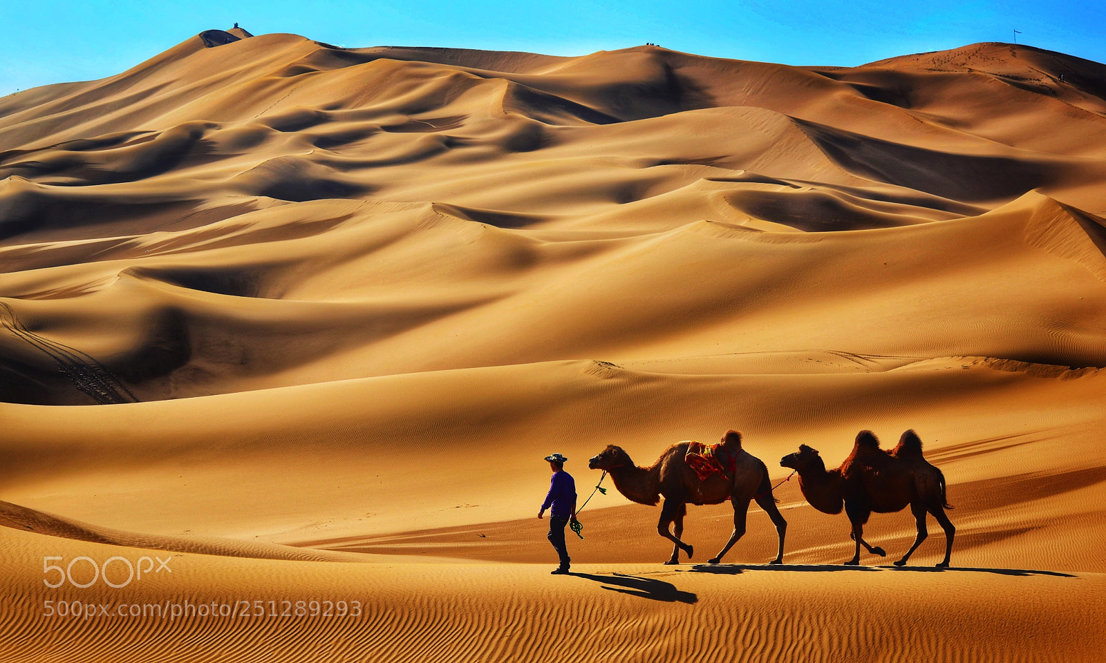 Nikon D800 sample photo. Xinjiang china photography