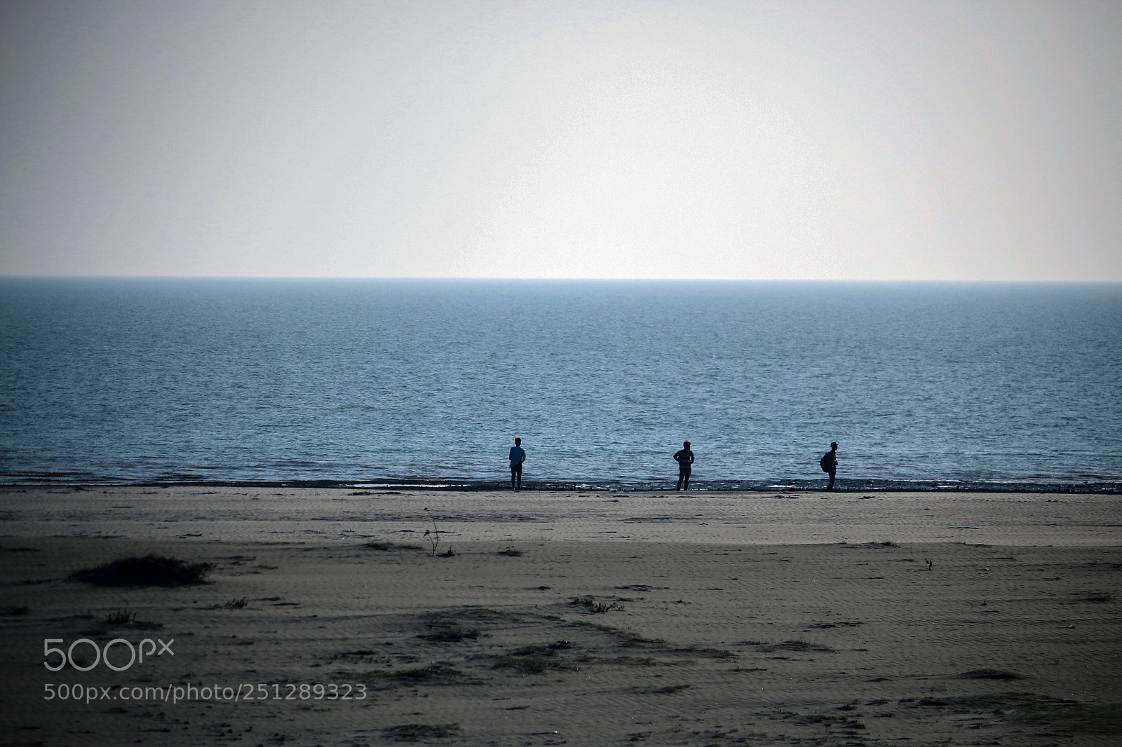 Canon EOS 70D sample photo. Untitled photography