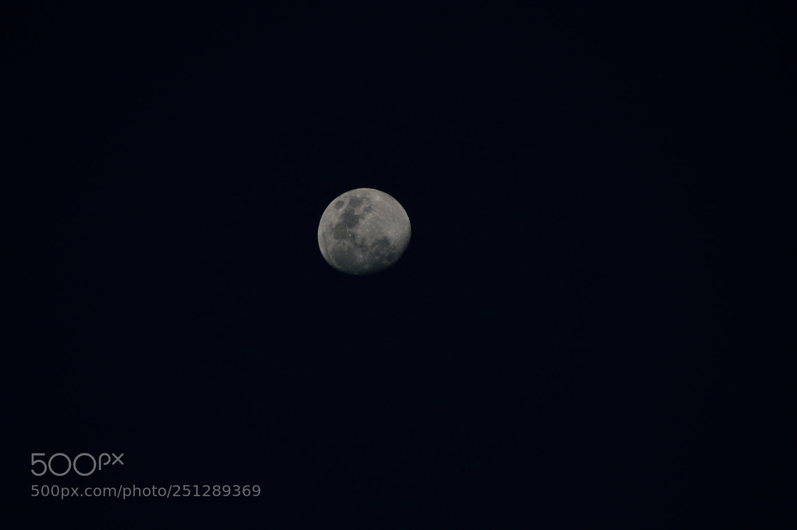 Nikon D3200 sample photo. Untitled photography