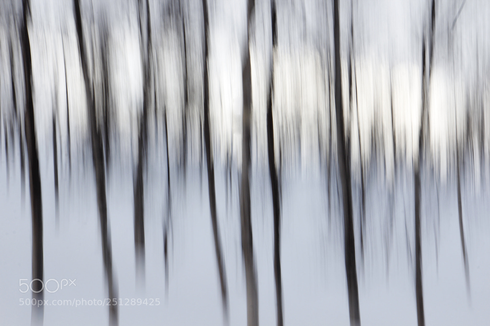 Canon EOS 60D sample photo. Trees photography