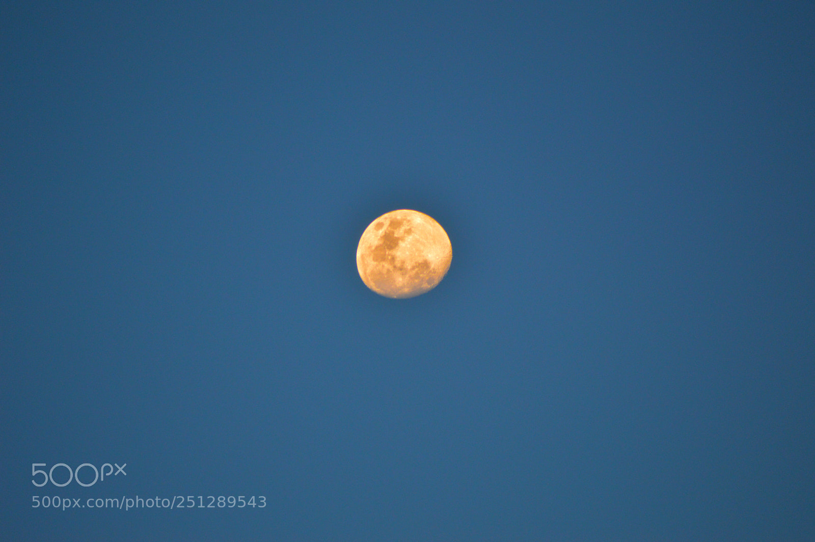 Nikon D3200 sample photo. Untitled photography