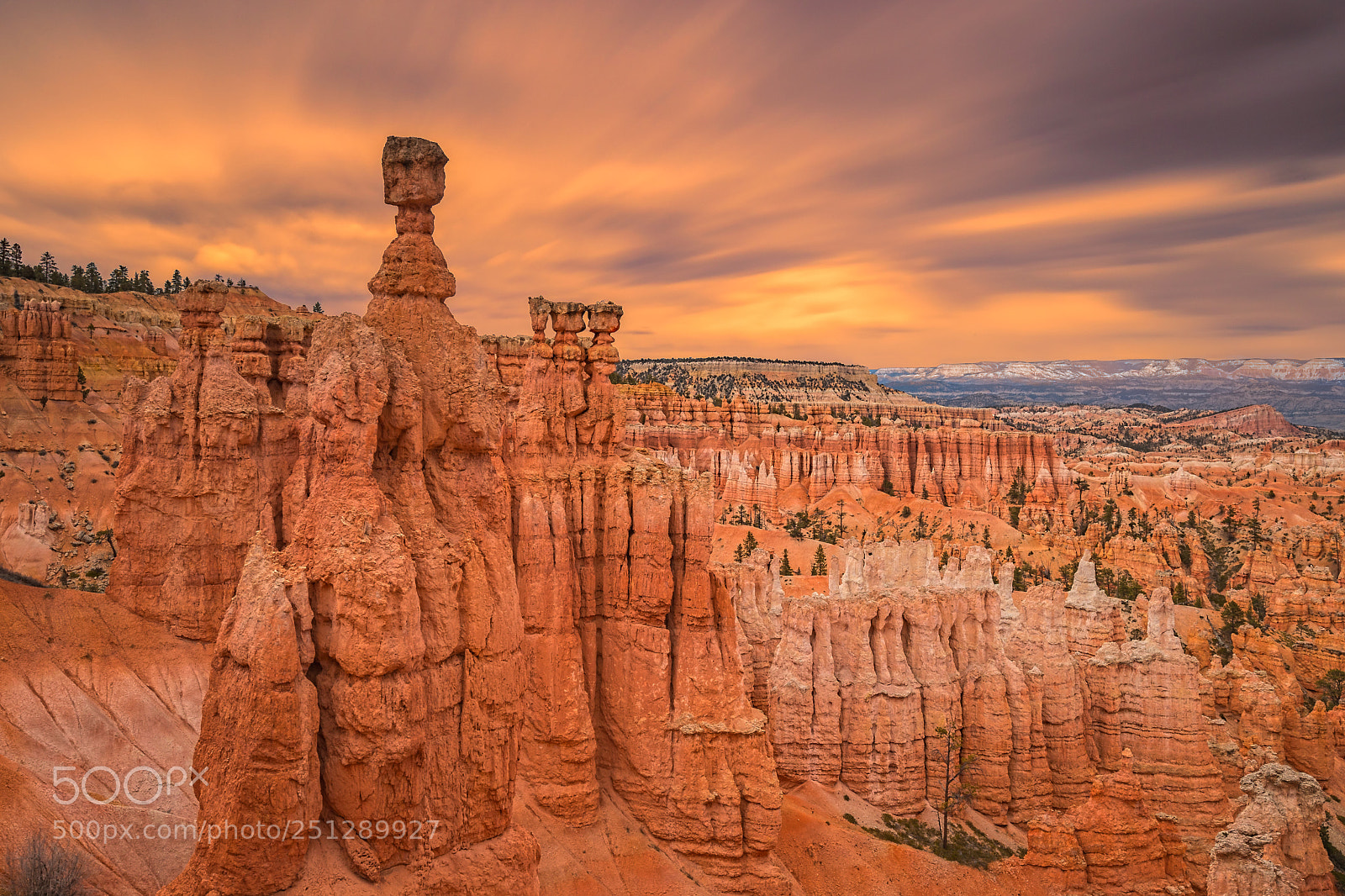 Canon EOS-1D X Mark II sample photo. Bryce canyon national park photography