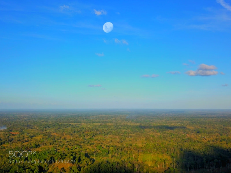 DJI FC220 sample photo. Untitled photography