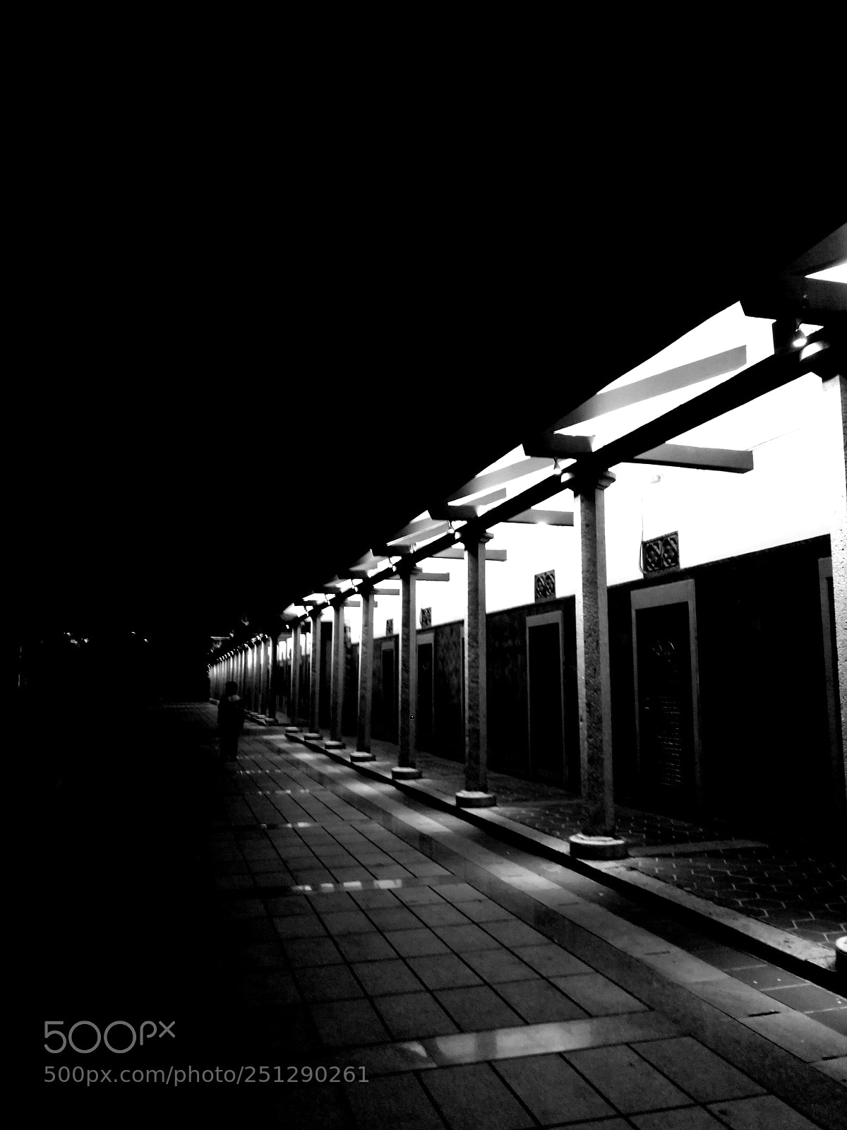 HUAWEI P9 sample photo. 校园夜 photography