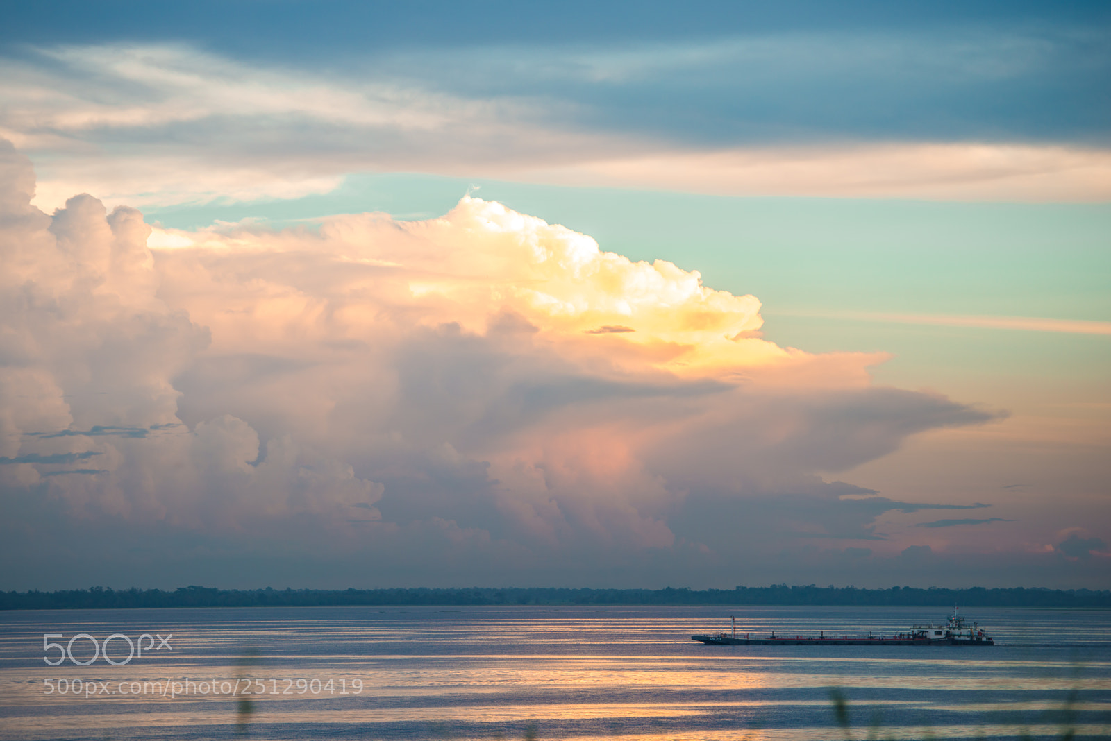 Nikon D800E sample photo. Amazon road - black photography