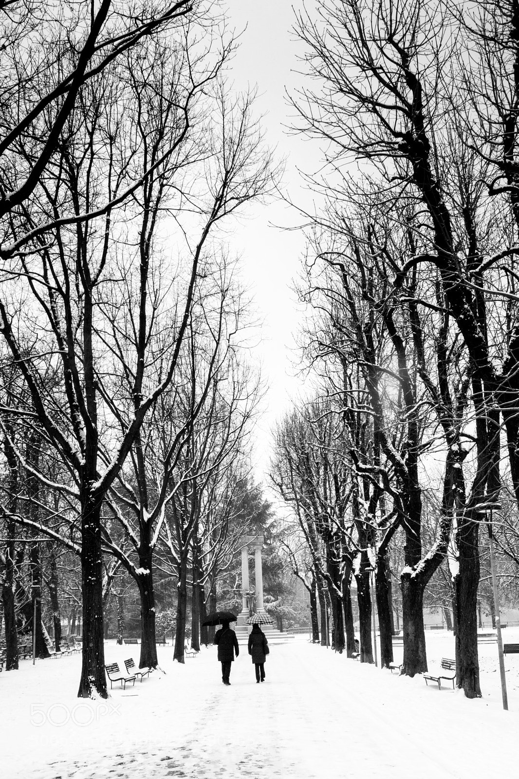 Canon EOS 80D sample photo. Snow at the park photography