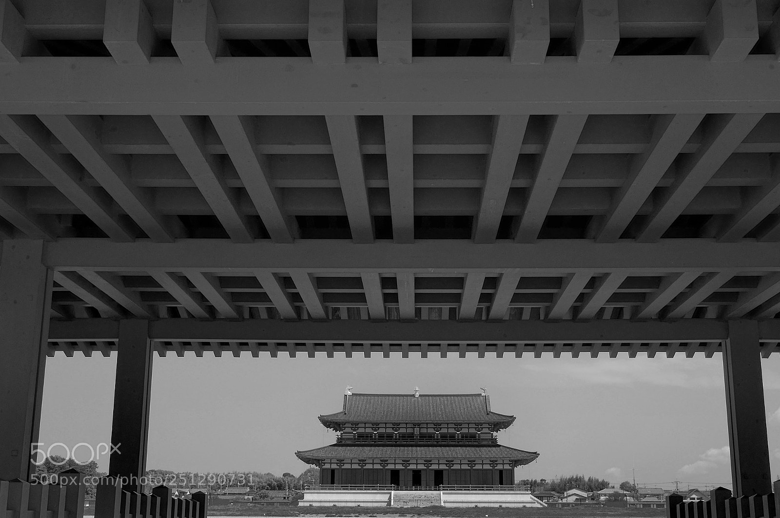 Sony Alpha NEX-6 sample photo. In nara photography
