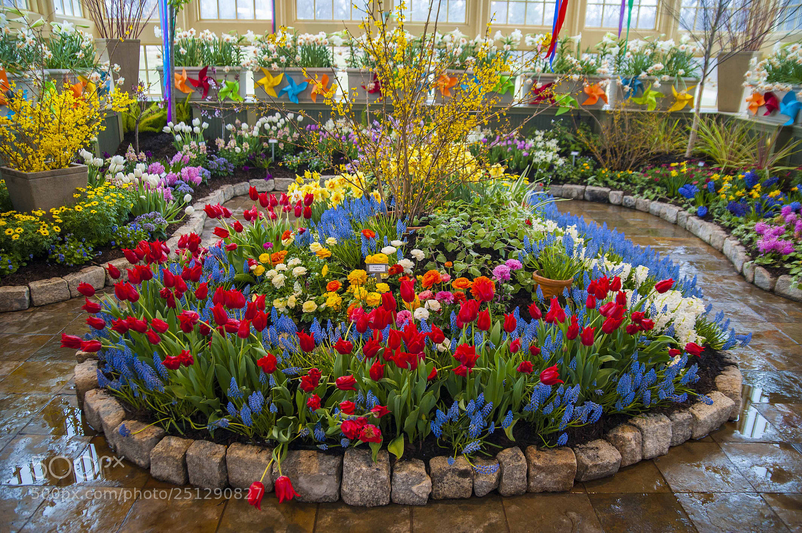 Nikon D700 sample photo. Spring flower show photography